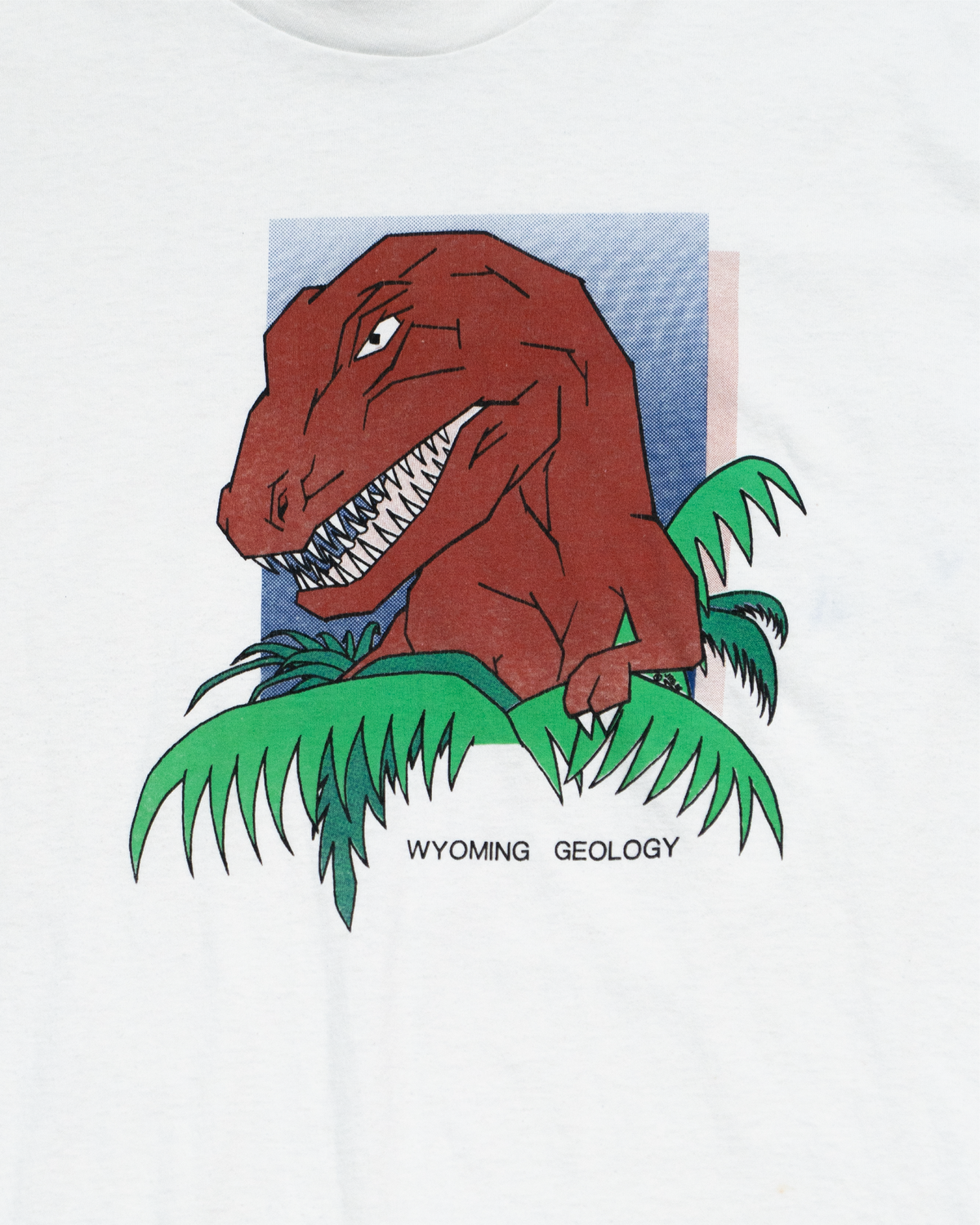 WYOMING GEOLOGY T-SHIRT (USED)