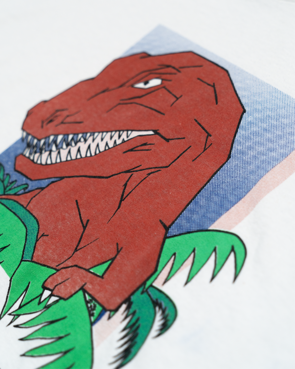 WYOMING GEOLOGY T-SHIRT (USED)