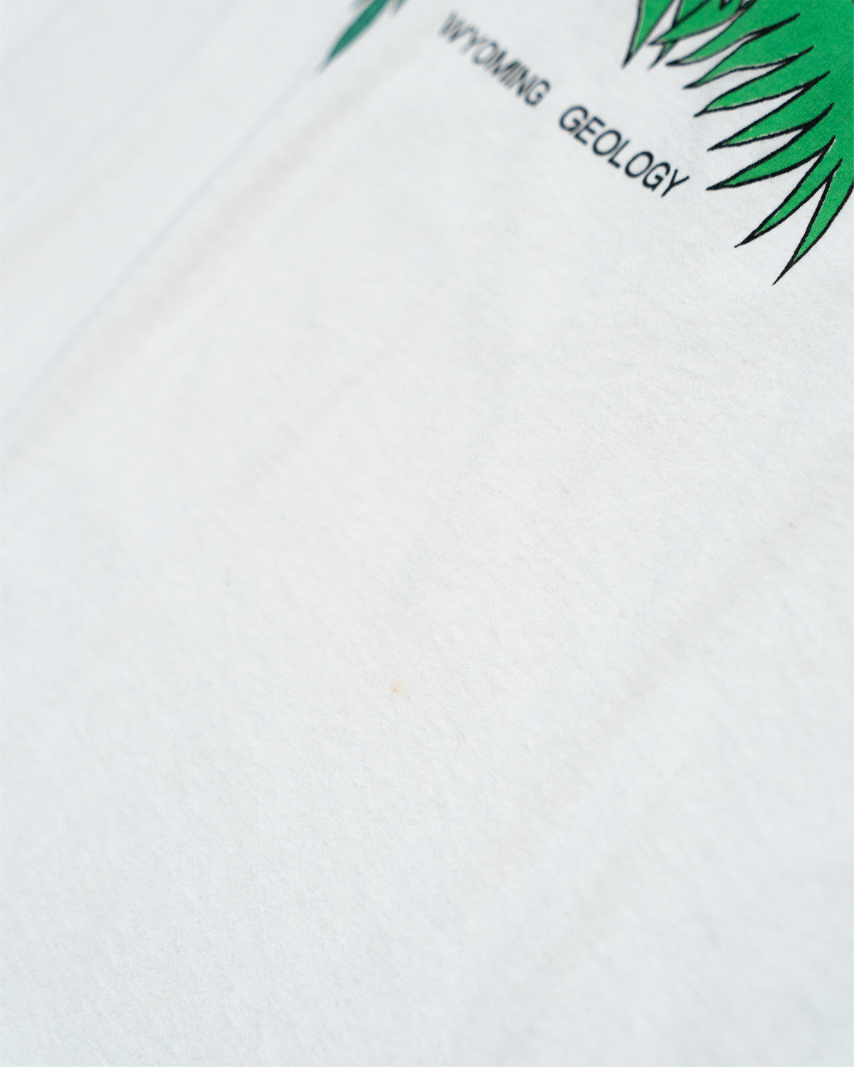 WYOMING GEOLOGY T-SHIRT (USED)