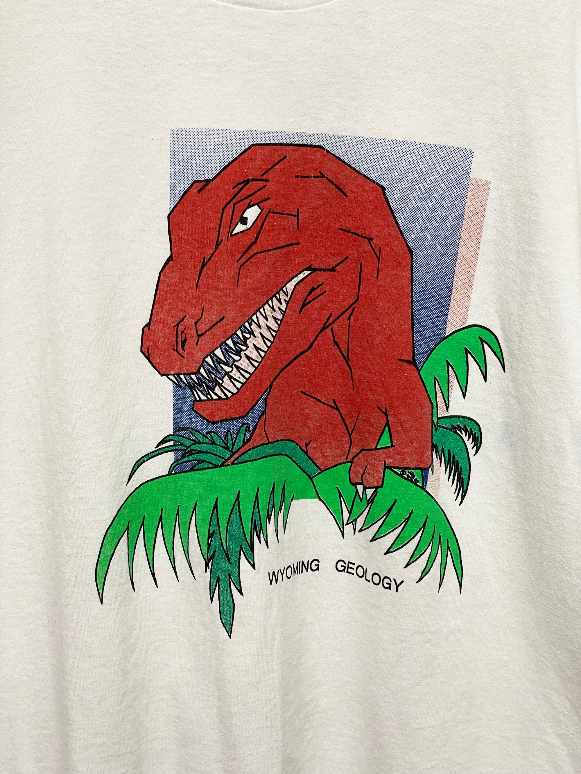 WYOMING GEOLOGY T-SHIRT (USED)