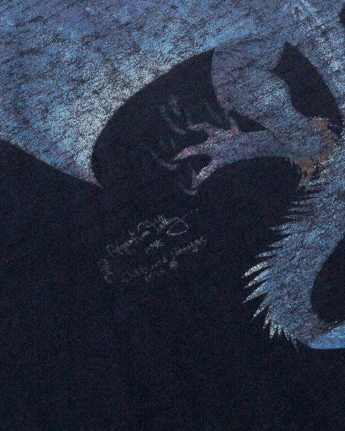DRAGON T-SHIRT (USED)